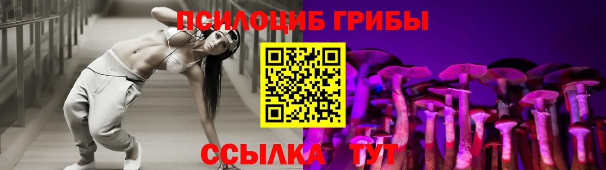 Галлюциногенные грибы Cubensis Гагарин