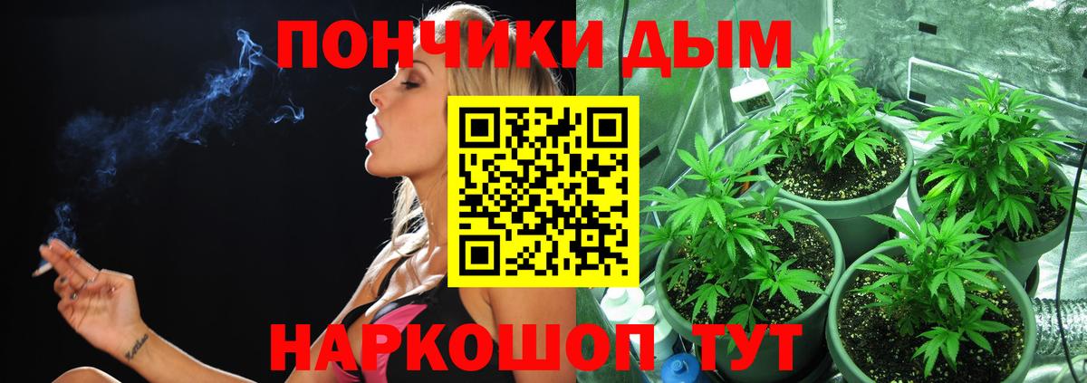Шишки марихуана план  Канабис SATIVA & INDICA  Гагарин 